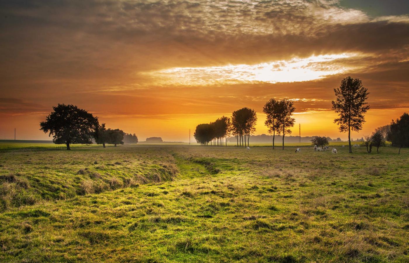 Портрет доктора Айгерим Бекетовой